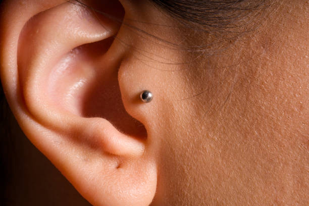 The Complete Guide to Tragus Piercings Everything You Need to Know Pierced Universe