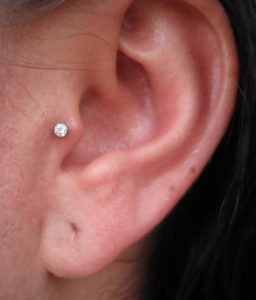 Tragus piercing length hotsell