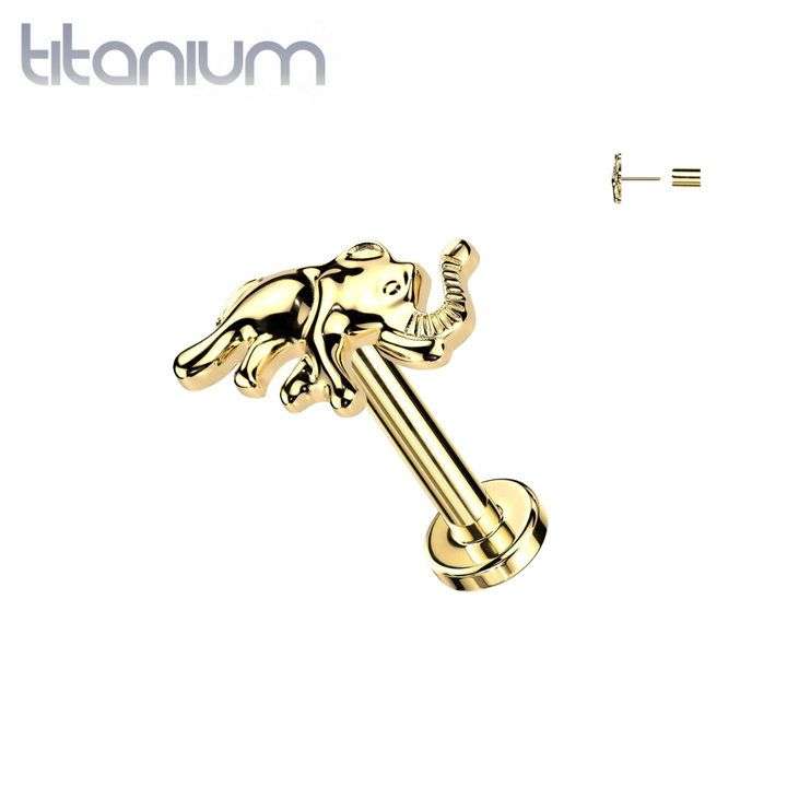 Implant Grade Titanium Gold PVD Elephant Push In Threadless Labret With Flat Back - Pierced Universe