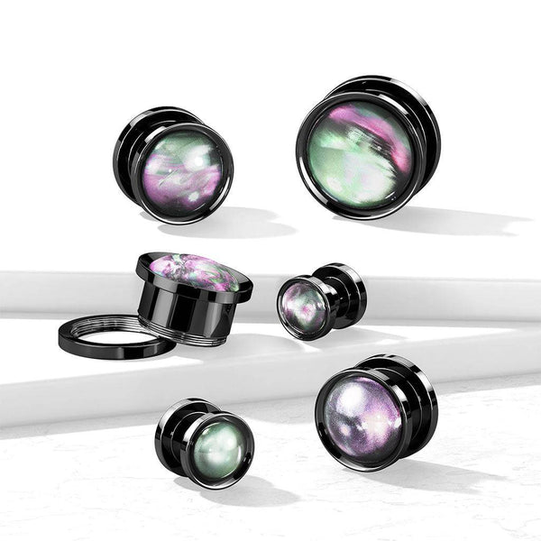 316L Surgical Steel Black PVD Multi-Colour Shell Center Screw On Plugs - Pierced Universe