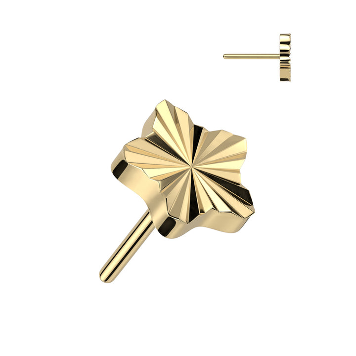 Implant Grade Titanium Gold PVD Ridged Star Threadless Push In Labret - Pierced Universe