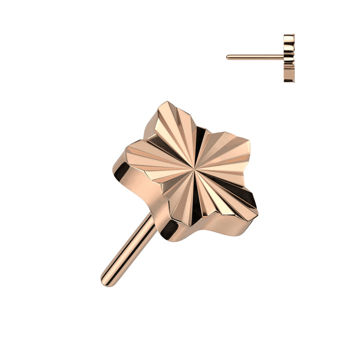 Implant Grade Titanium Rose Gold PVD Ridged Star Threadless Push In Labret - Pierced Universe